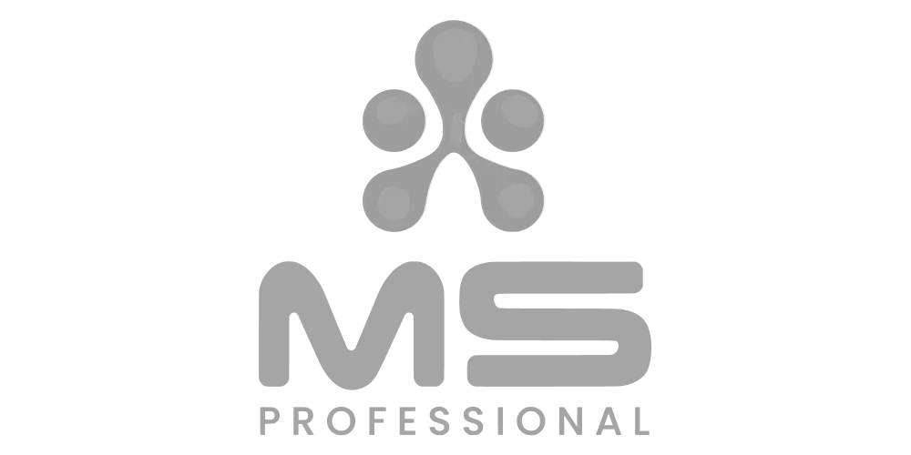 MS Professional