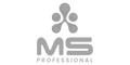 MS Professional