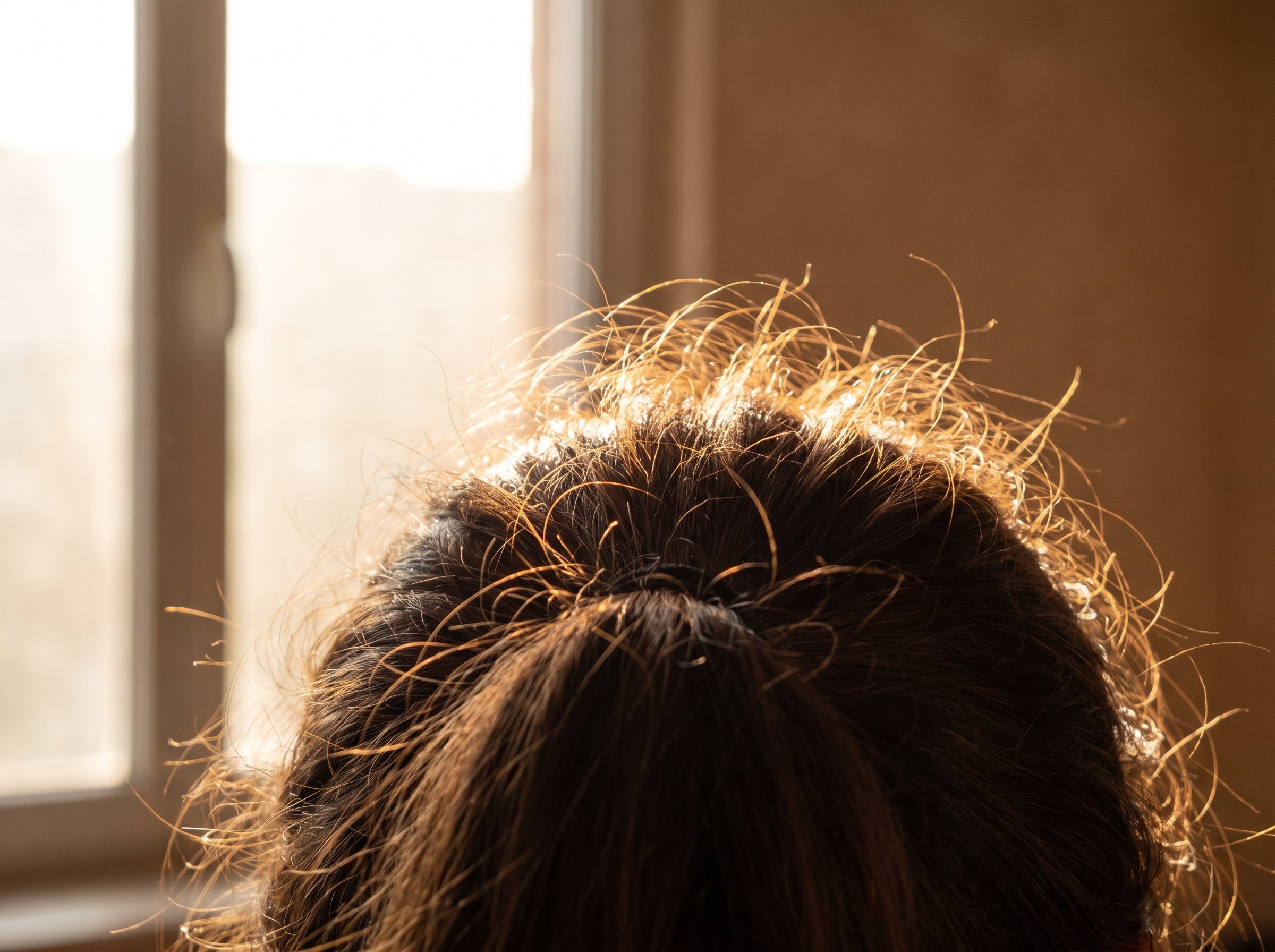 Cabelo com frizz