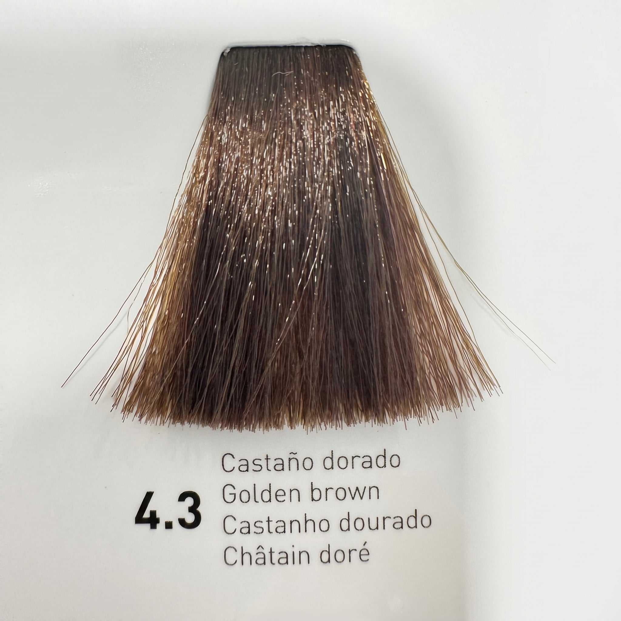 Risfort Plus Coloração Permanente 100ml