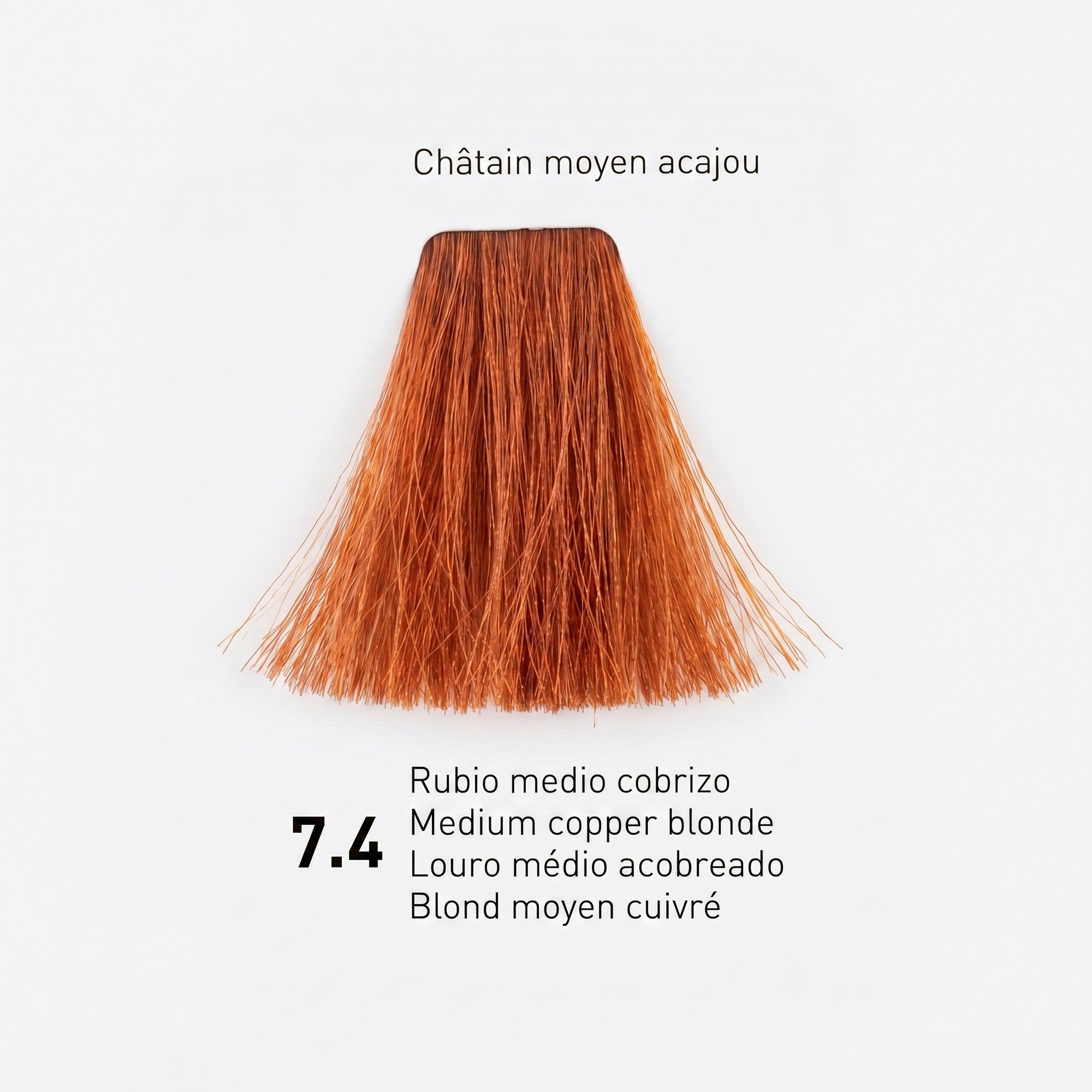 Risfort Plus Coloração Permanente 100ml
