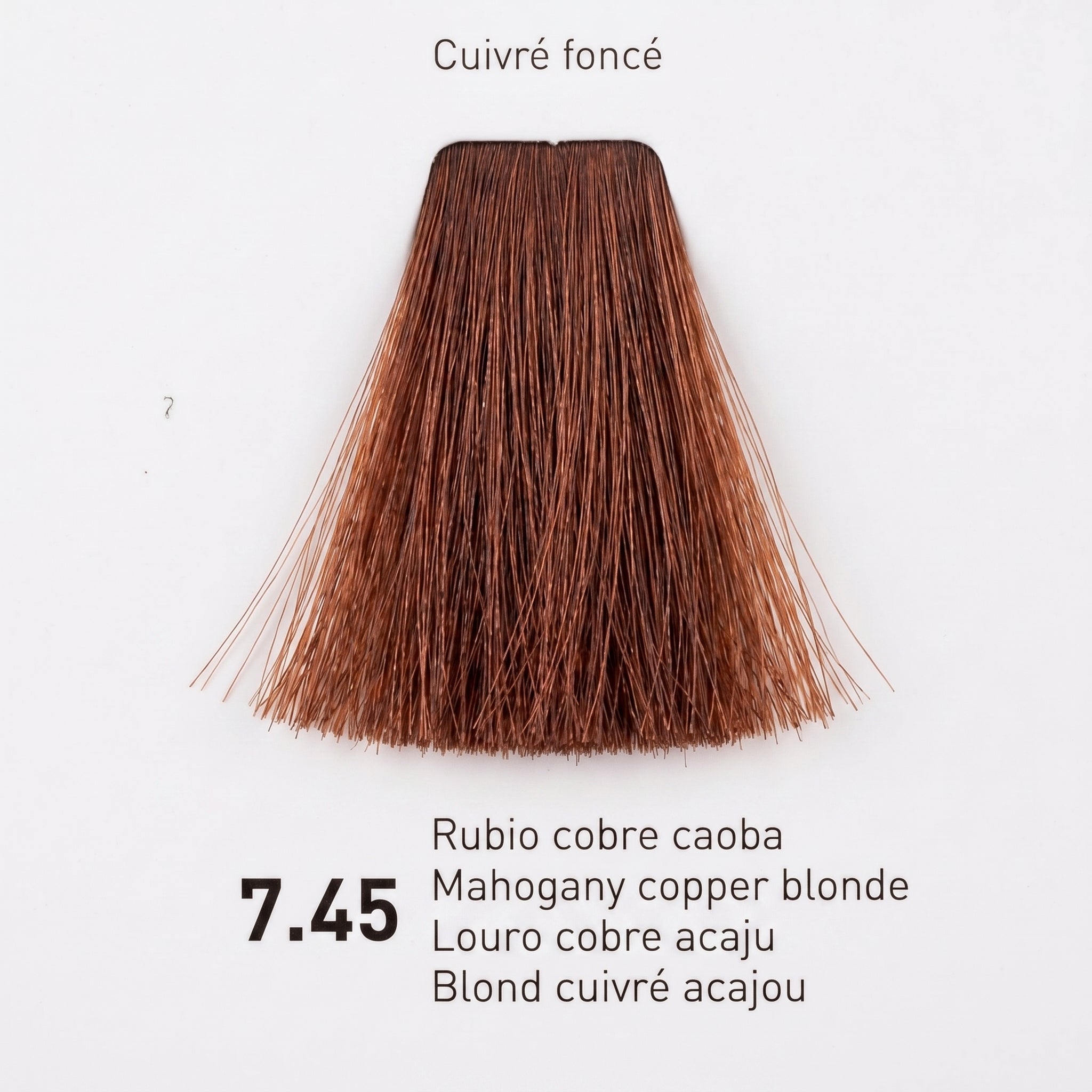 Risfort Plus Coloração Permanente 100ml