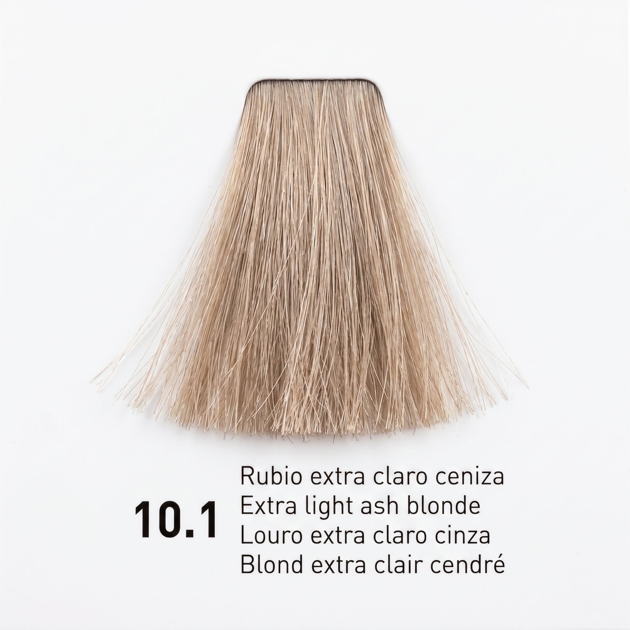 Risfort Plus Coloração Permanente 100ml