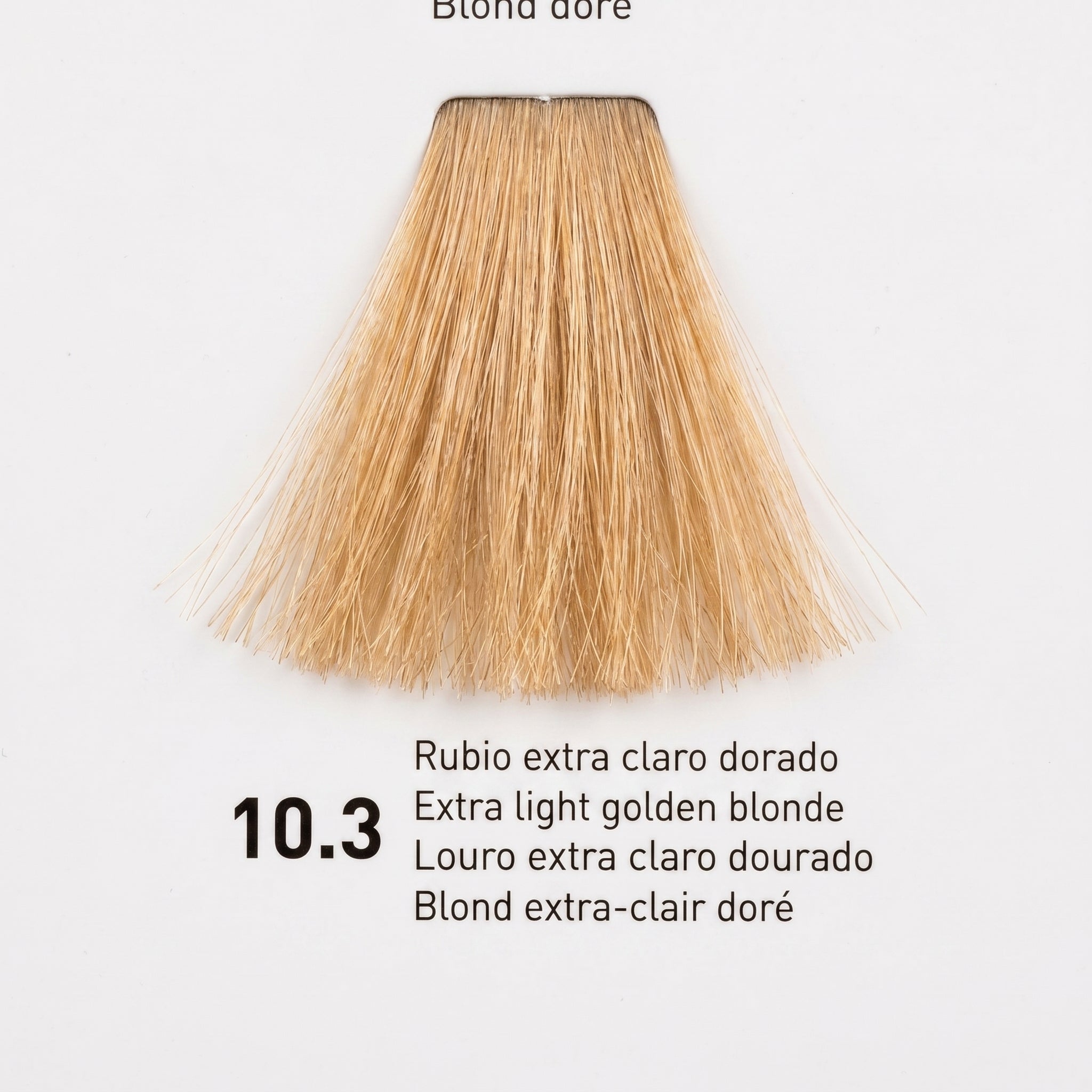 Risfort Plus Coloração Permanente 100ml