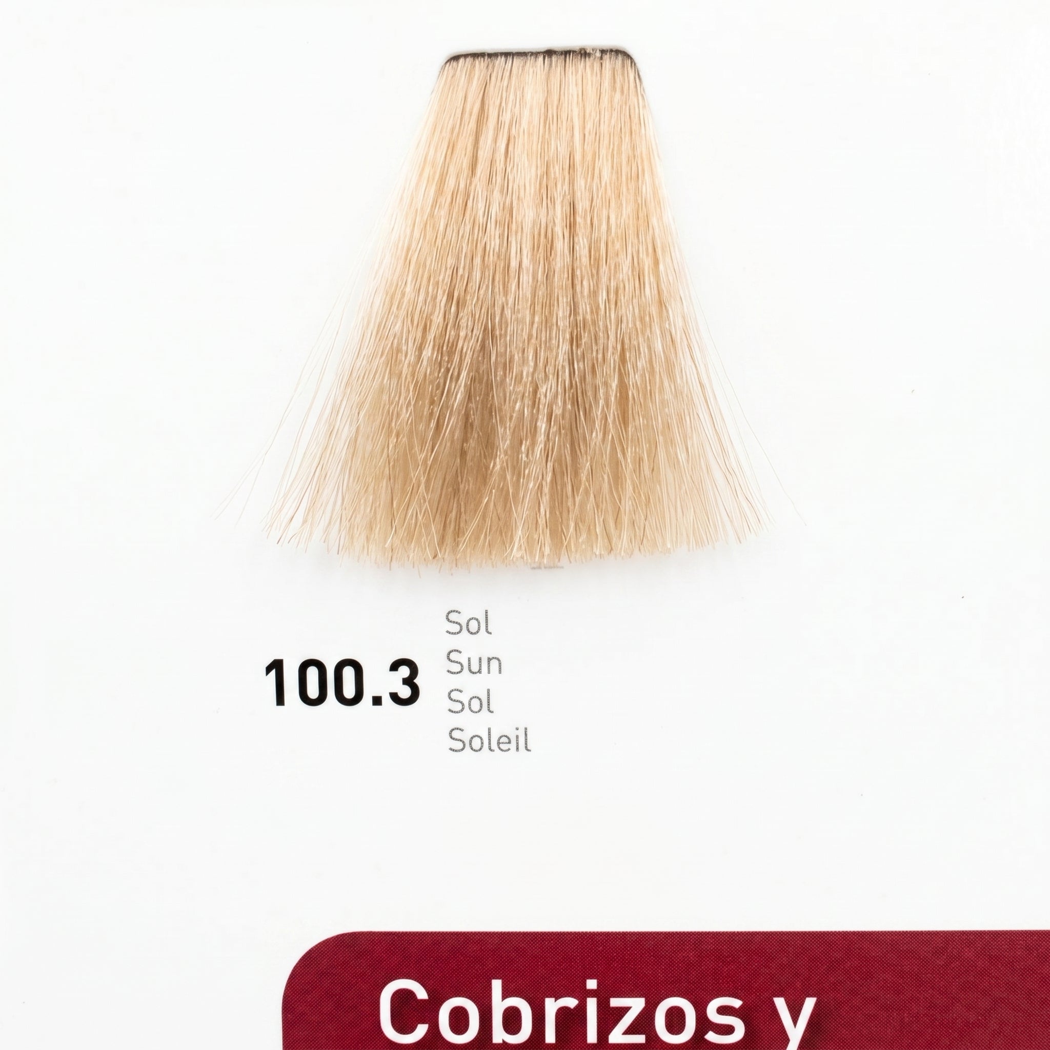 Risfort Plus Coloração Permanente 100ml