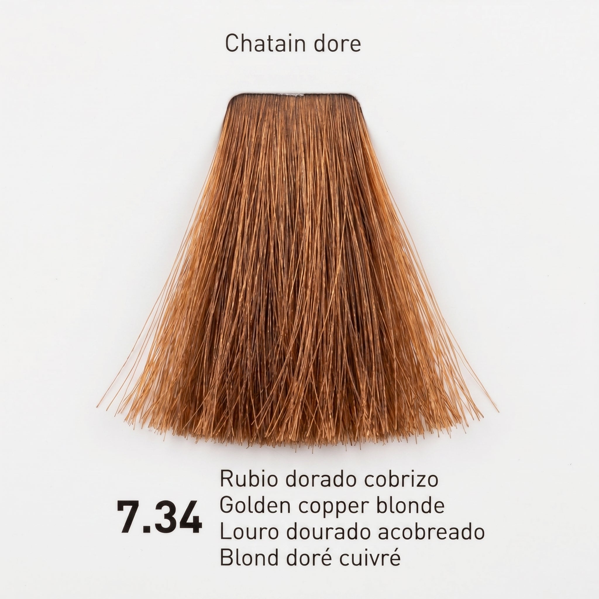 Risfort Plus Coloração Permanente 100ml