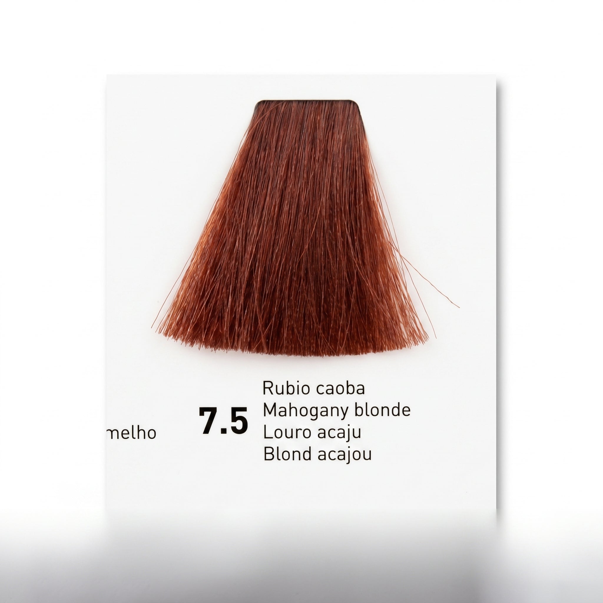 Risfort Plus Coloração Permanente 100ml