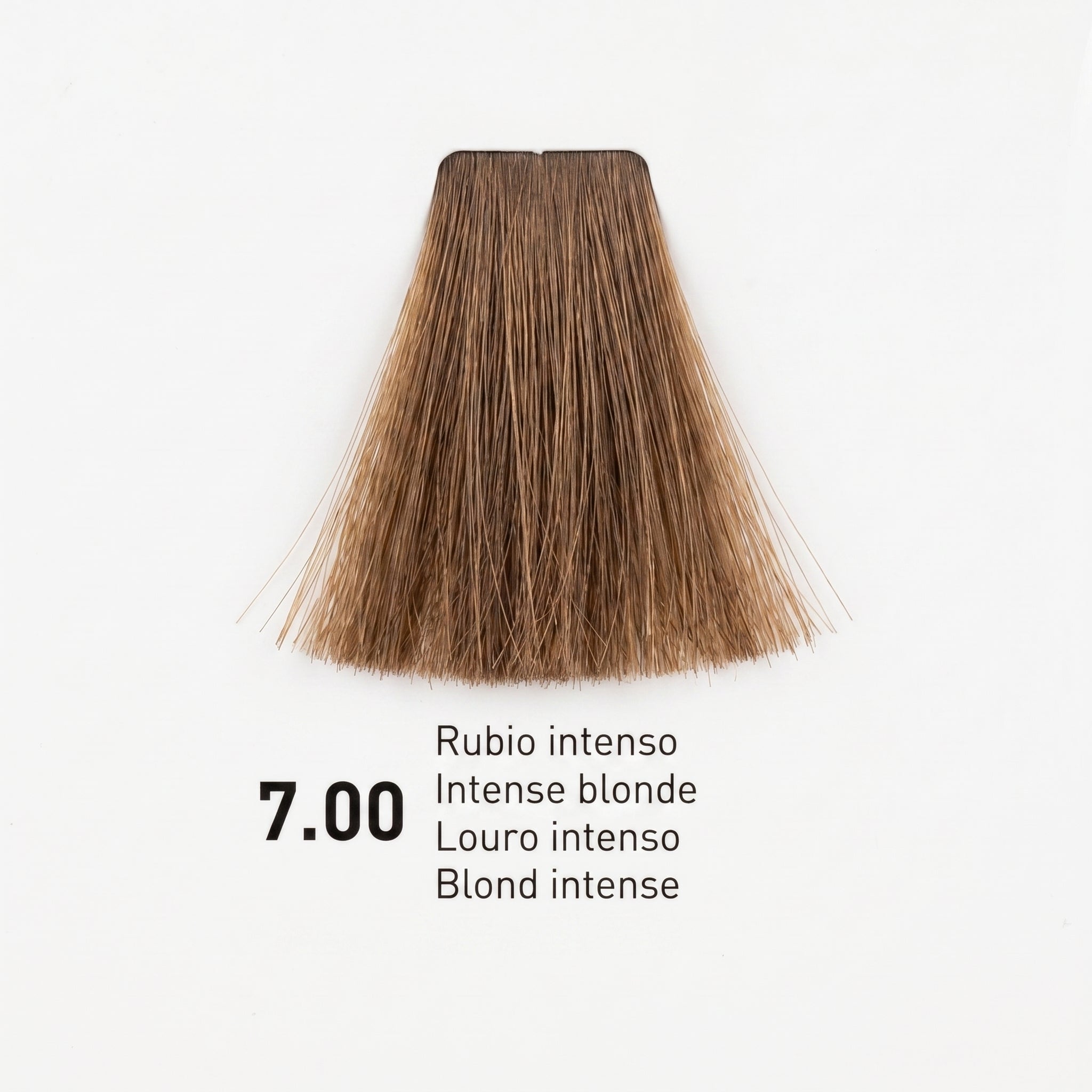 Risfort Plus Coloração Permanente 100ml