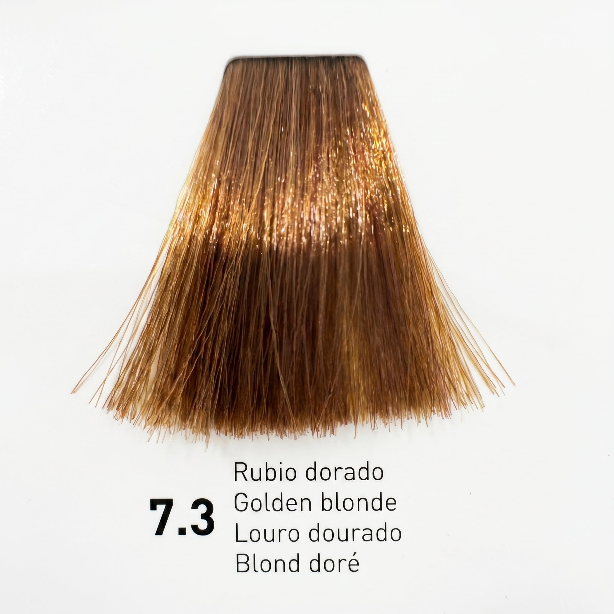 Risfort Plus Coloração Permanente 100ml