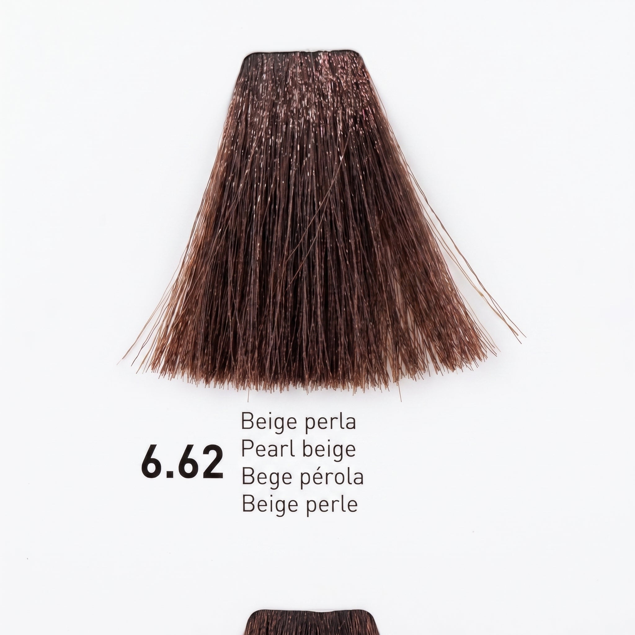 Risfort Plus Coloração Permanente 100ml