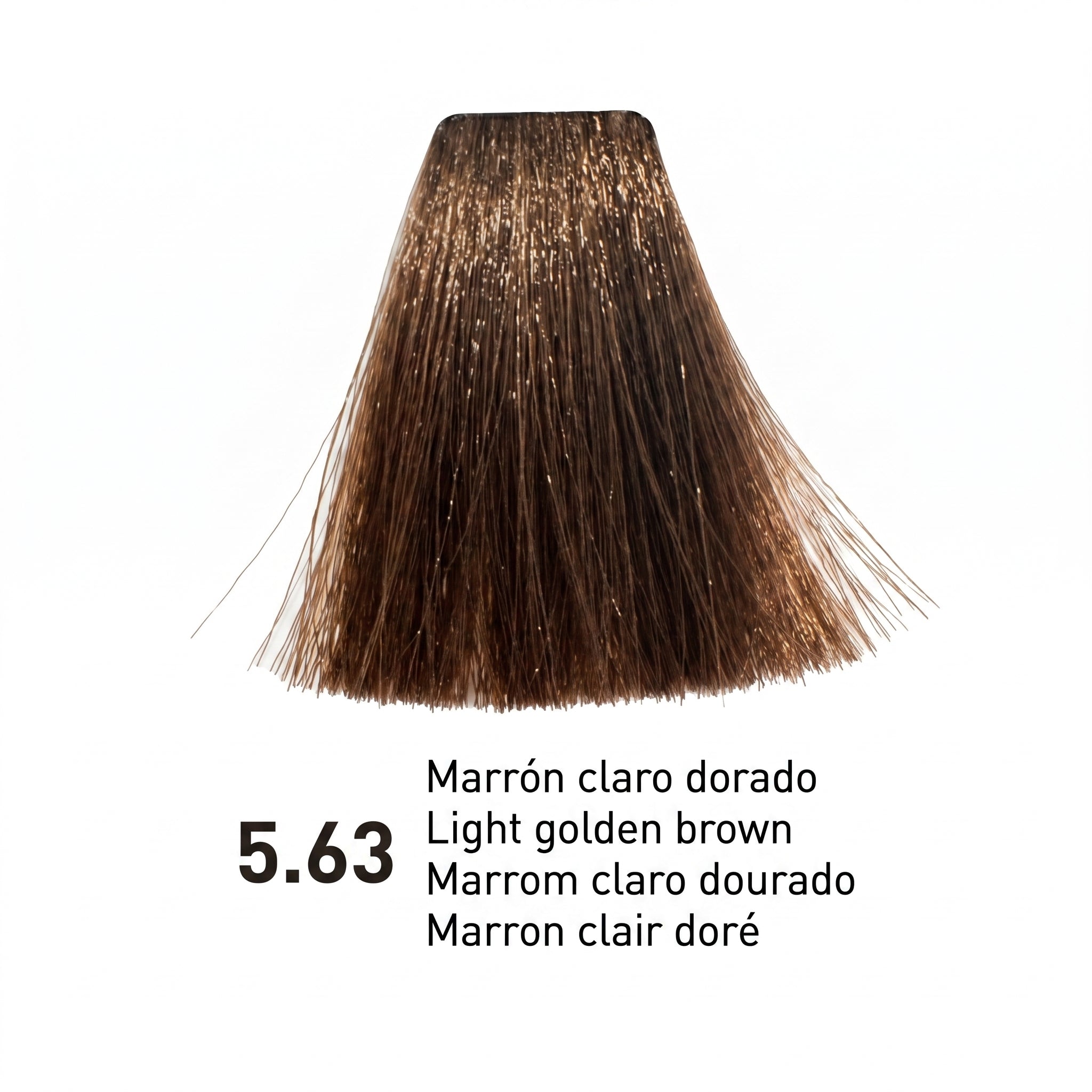 Risfort Plus Coloração Permanente 100ml