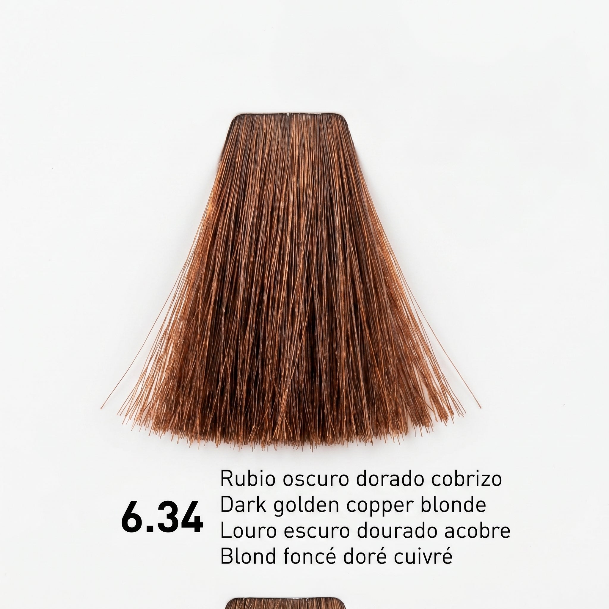 Risfort Plus Coloração Permanente 100ml