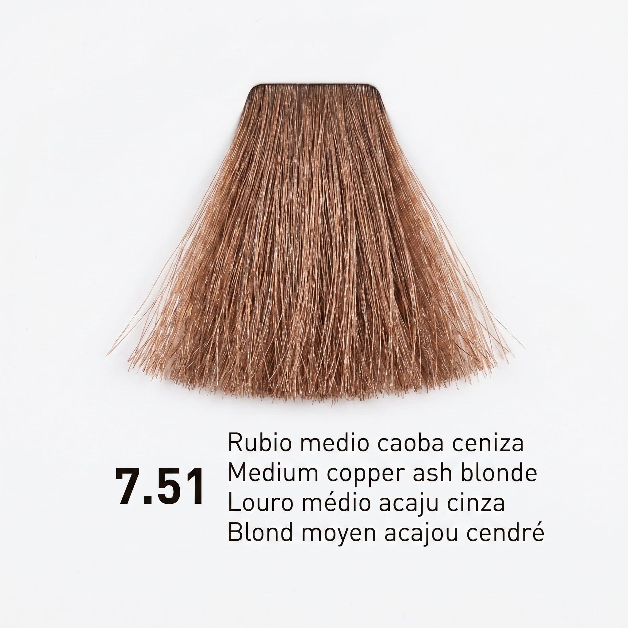 Risfort Plus Coloração Permanente 100ml