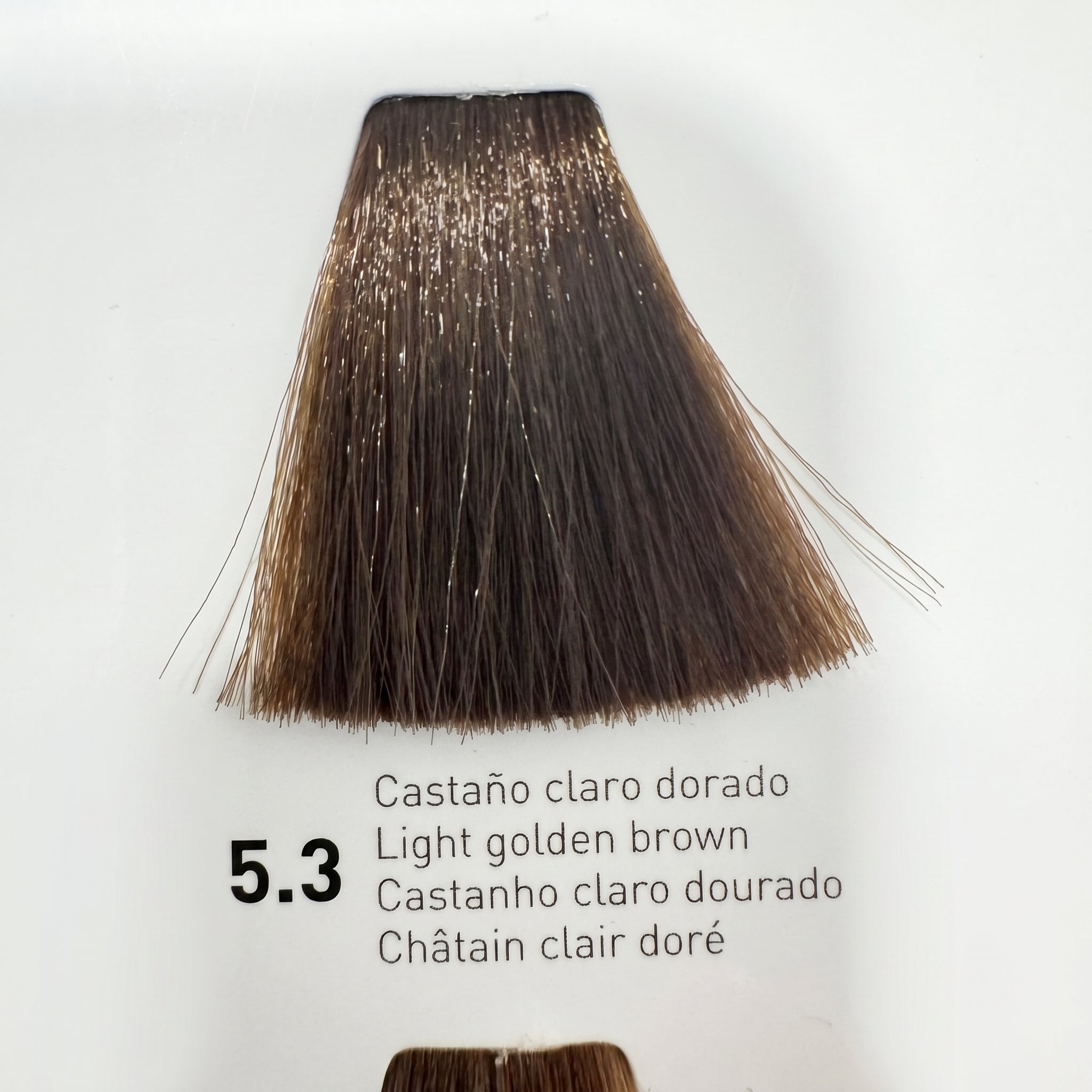 Risfort Plus Coloração Permanente 100ml
