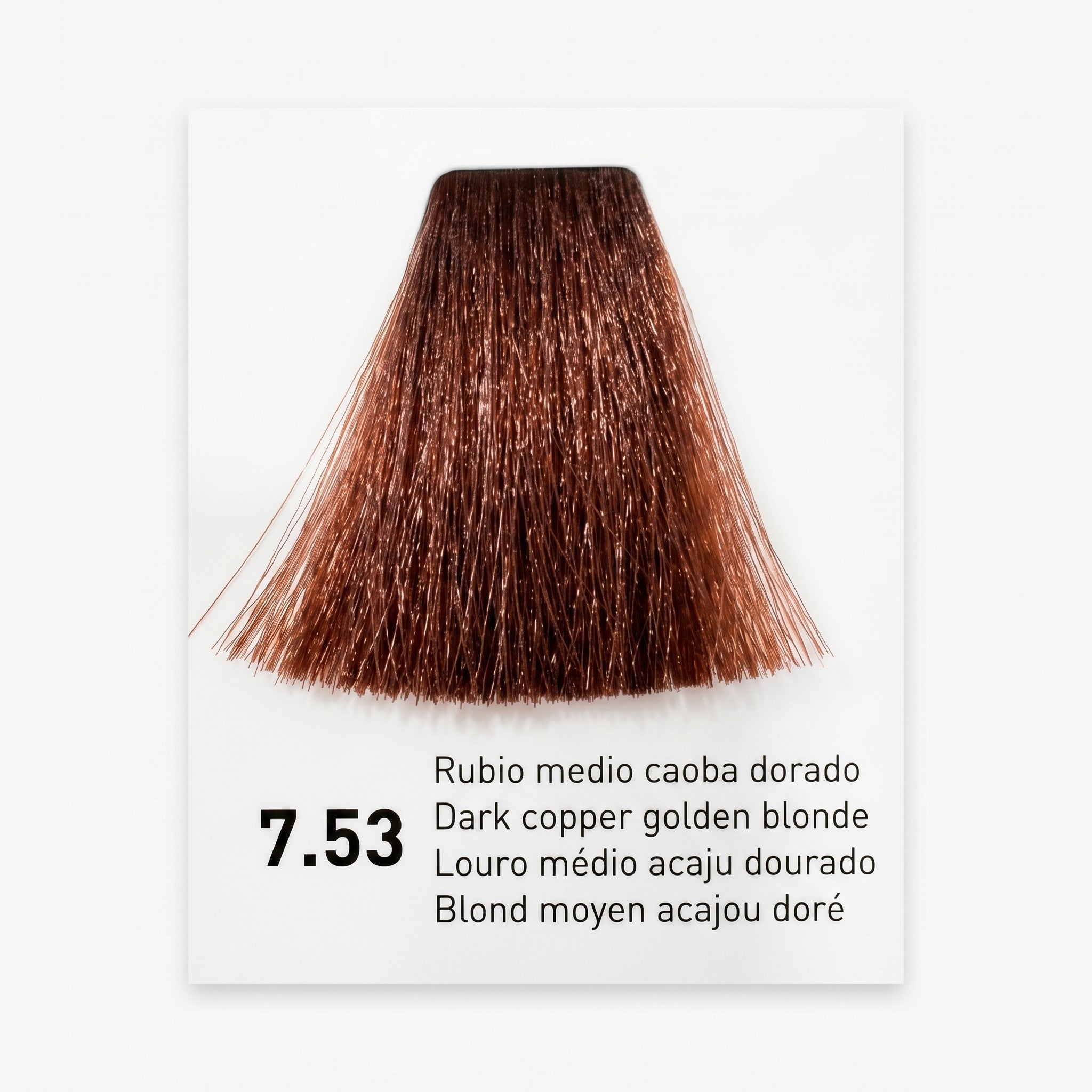 Risfort Plus Coloração Permanente 100ml