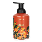 Avatim Espuma de Limpeza Mãos e Corpo Seriguela 500ml Desfrutar