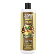Dona Flora Gengibre Shampoo Crescimento & Fortalecimento 1L