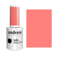 206 Coral