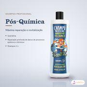 Shampoo Pós-Química Dona Flora: frasco em fundo de estúdio, com o nome da linha e as notas