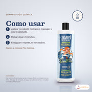 Shampoo Pós-Química Dona Flora: passos numerados de como usar e os cuidados no fundo