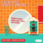 Shampoo Meu Cacho Minha Vida Lola Cachos: apresentação, com o que a fórmula faz pelo fio