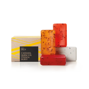 Natura Ekos Sabonete Cremoso e Esfoliante de Castanha Maracujá Pitanga e Buriti 4x100g - Ilha dos cosméticos