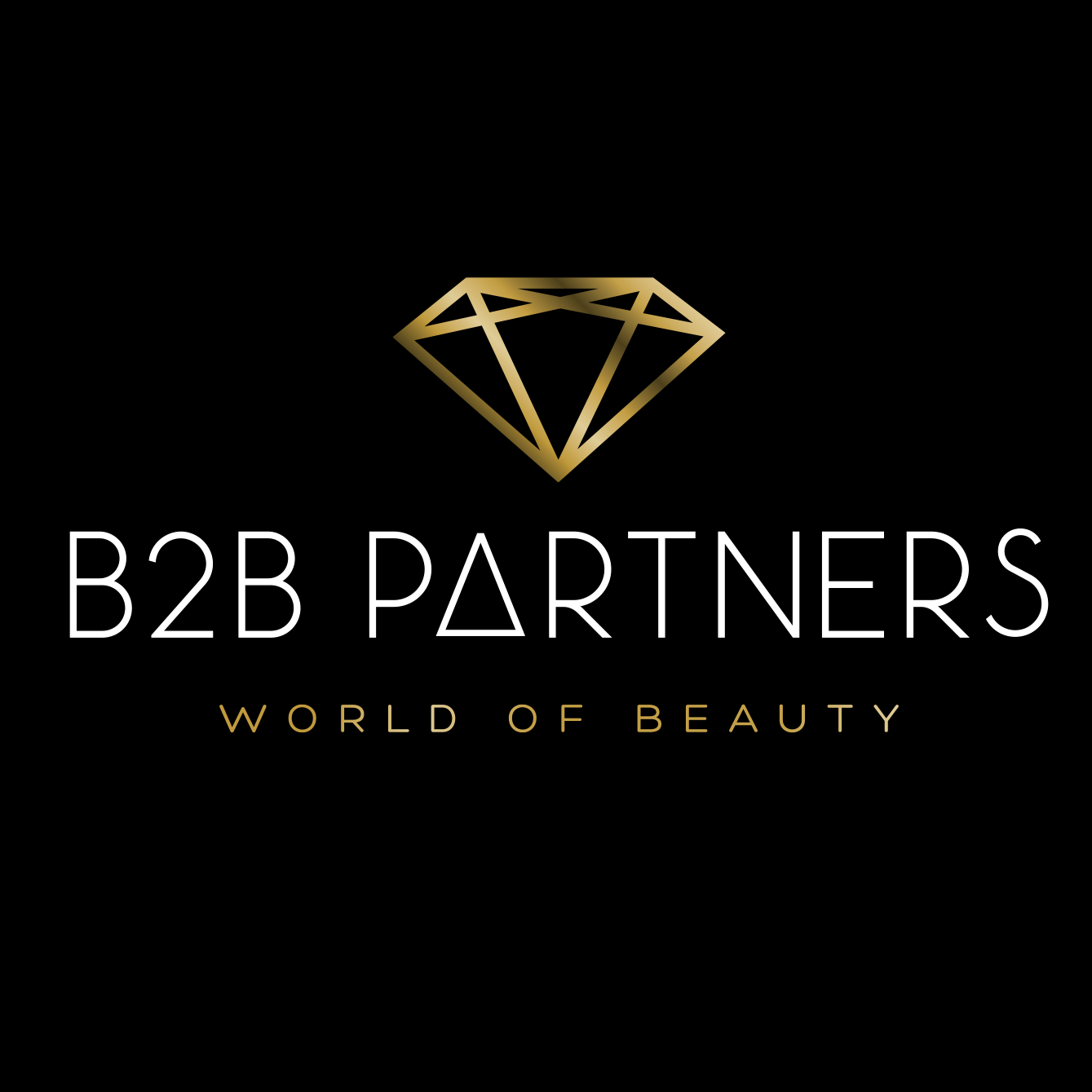 B2B Partners